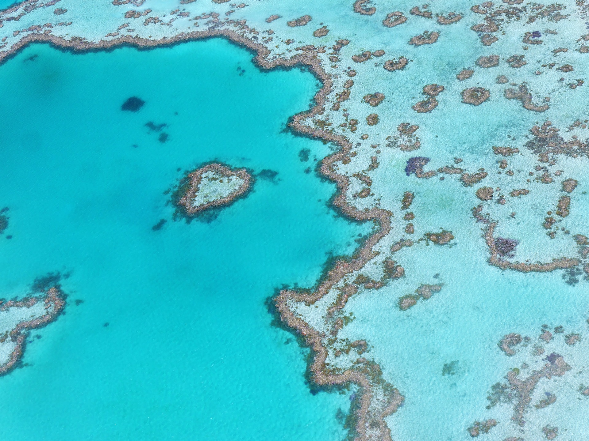 Studying in Australia as a teenager - great barrier reef