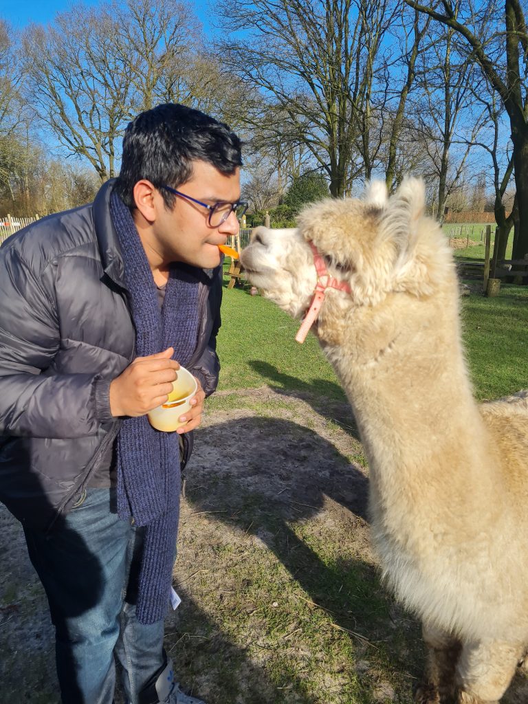 Birthday idea Alpaca picnic in Drenthe (NL)