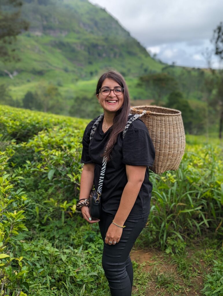 6 Reasons why you have to add Nuwara Eliya to your Sri Lanka itinerary! Tea Plantation