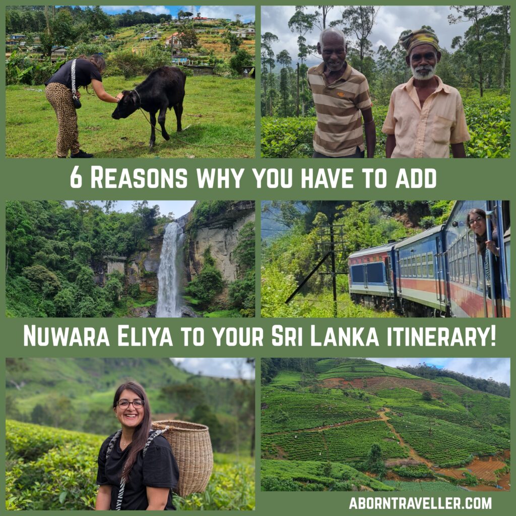 6 reasons why you have to add nuwara eliya to your sri lanka initerary