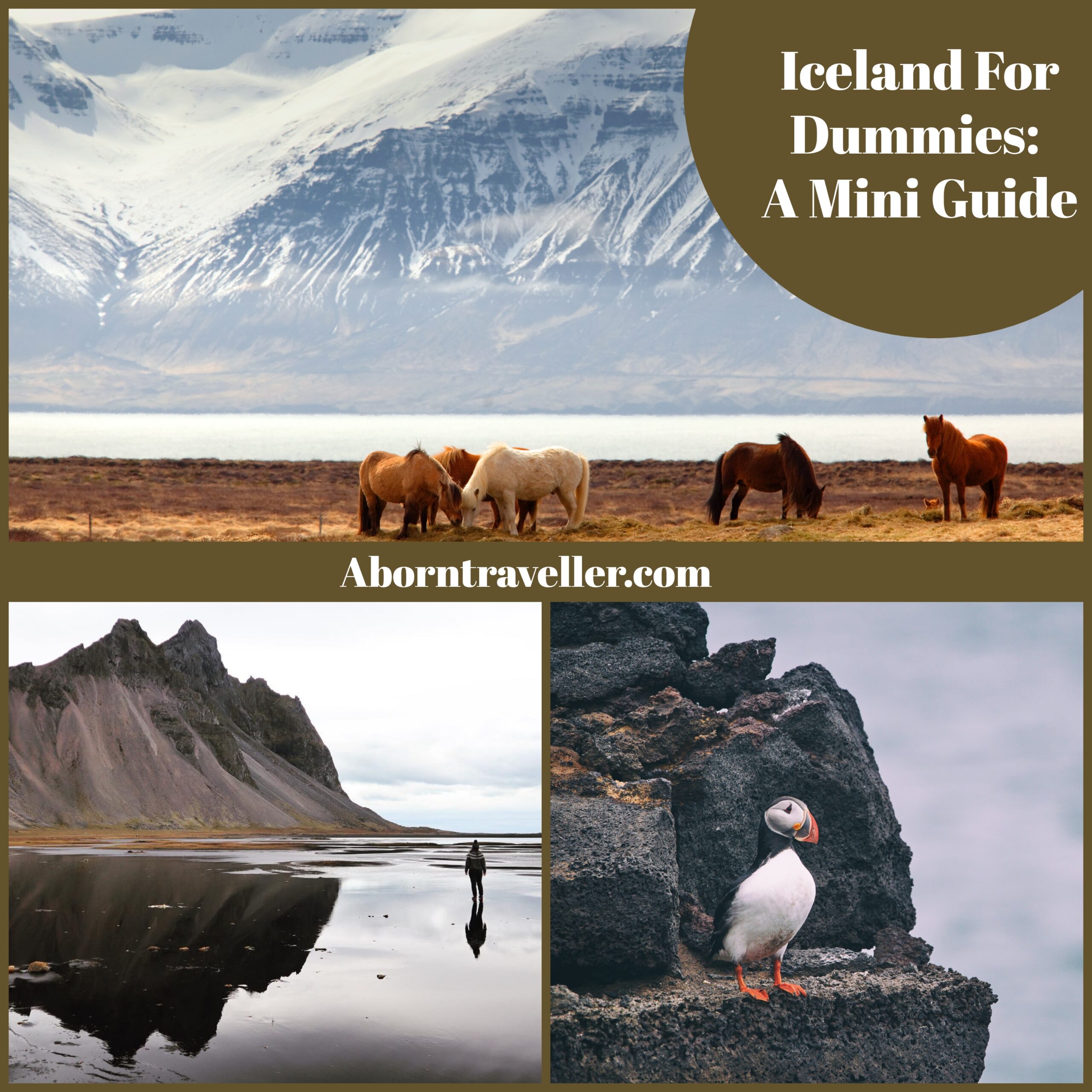 Iceland for Dummies - A mini guide (3)