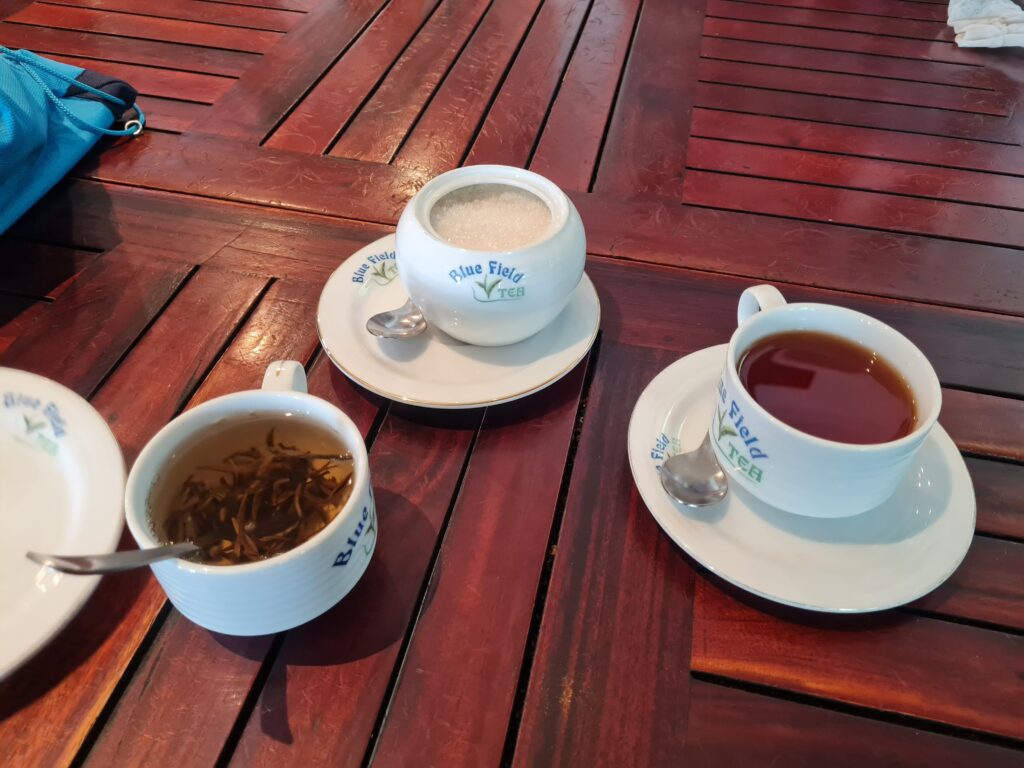 Blue Field Tea Factory in Ramboda, Sri Lanka - my experience 1