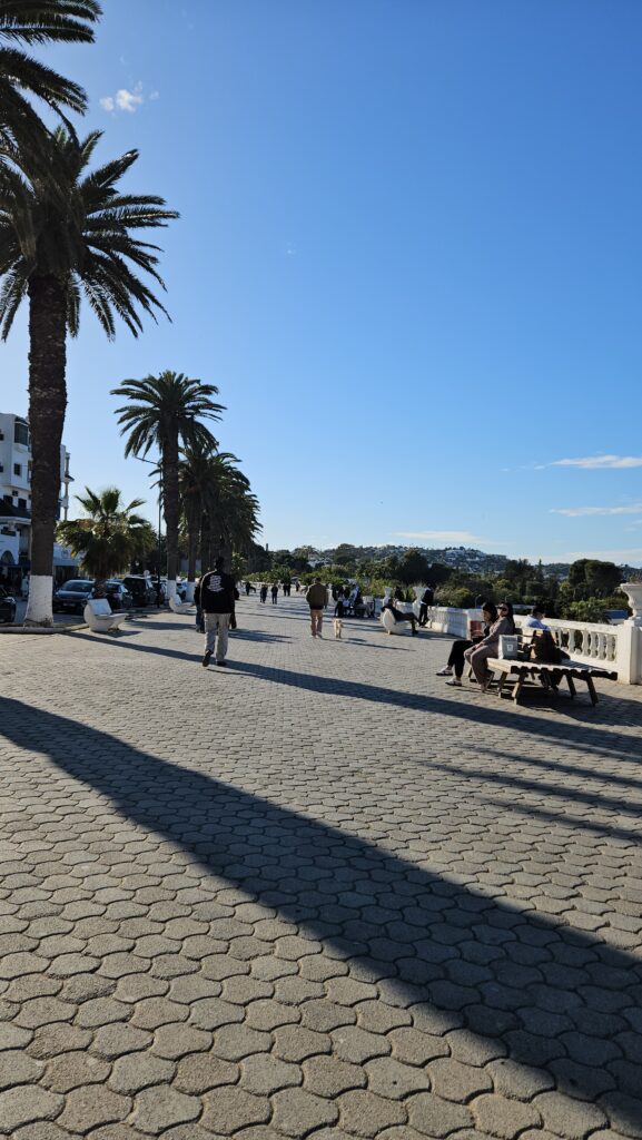 What to do in Tunis My 2-day travel guide to Tunisia’s capital (9 awesome spots!)