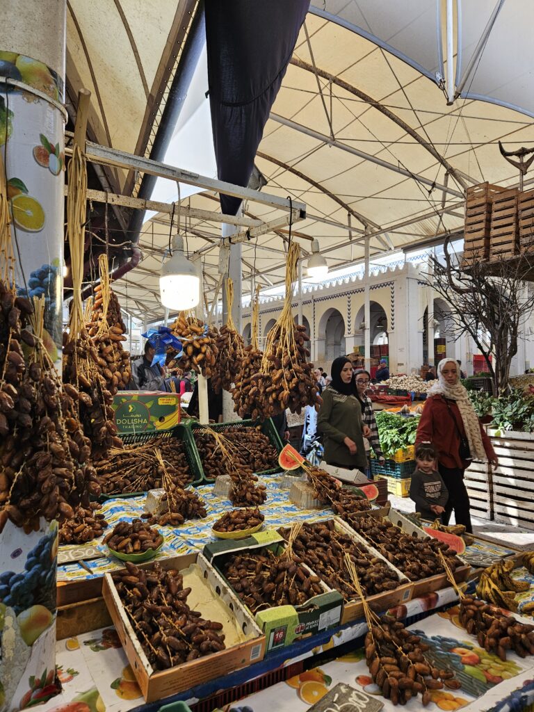 What to do in Tunis My 2-day travel guide to Tunisia’s capital (9 awesome spots!)