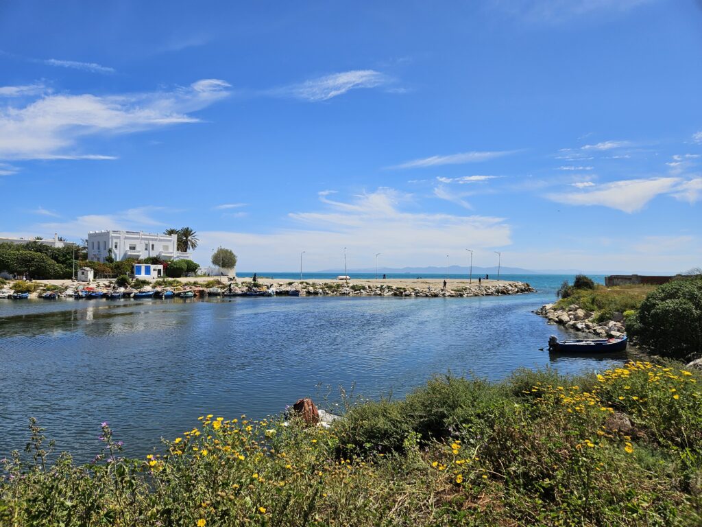 Carthage ruins 7 must-see ancient sites in Tunis (Tunisia) punic ports