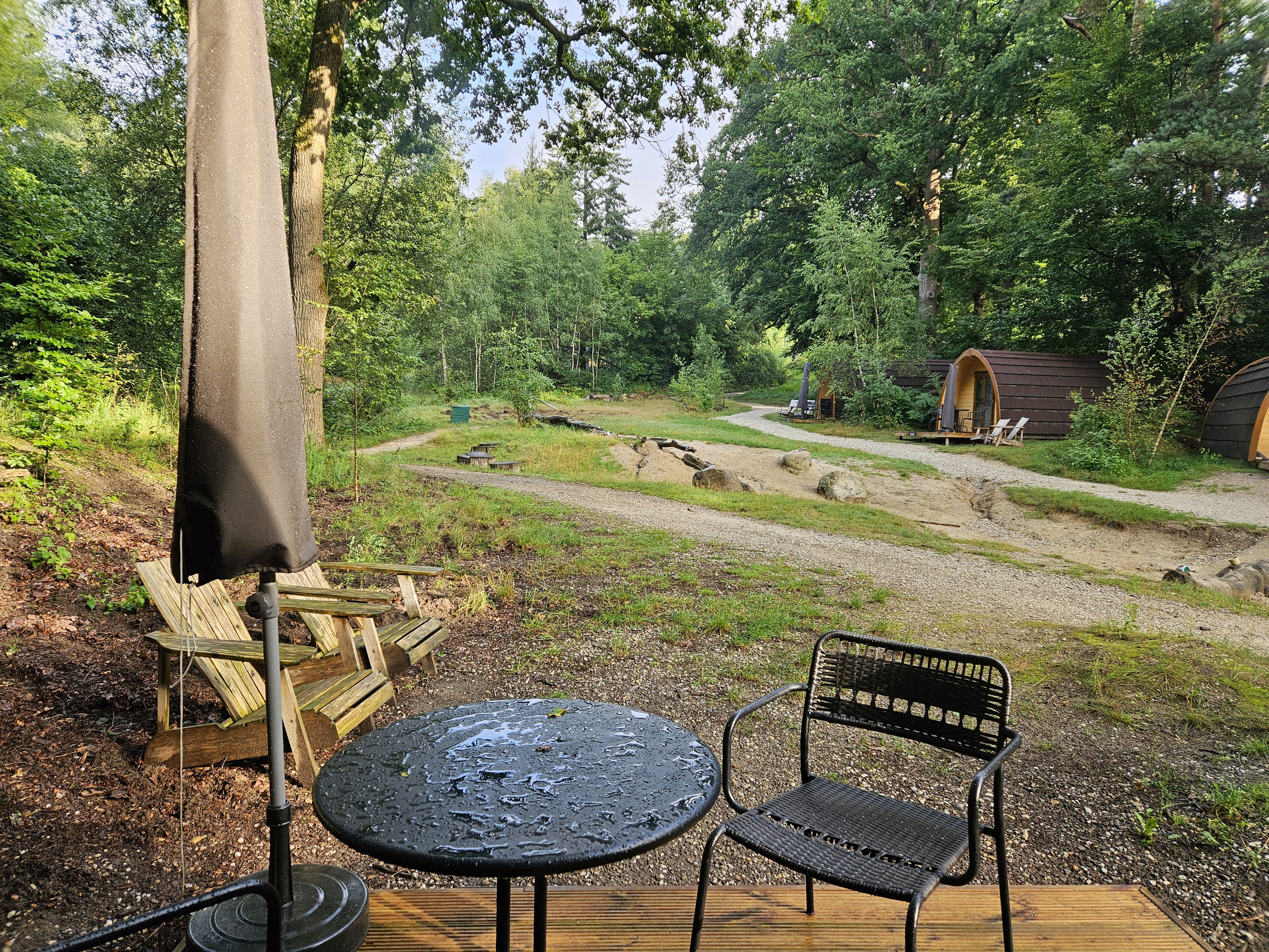 Staying in a nature house in the Veluwe (the Netherlands)