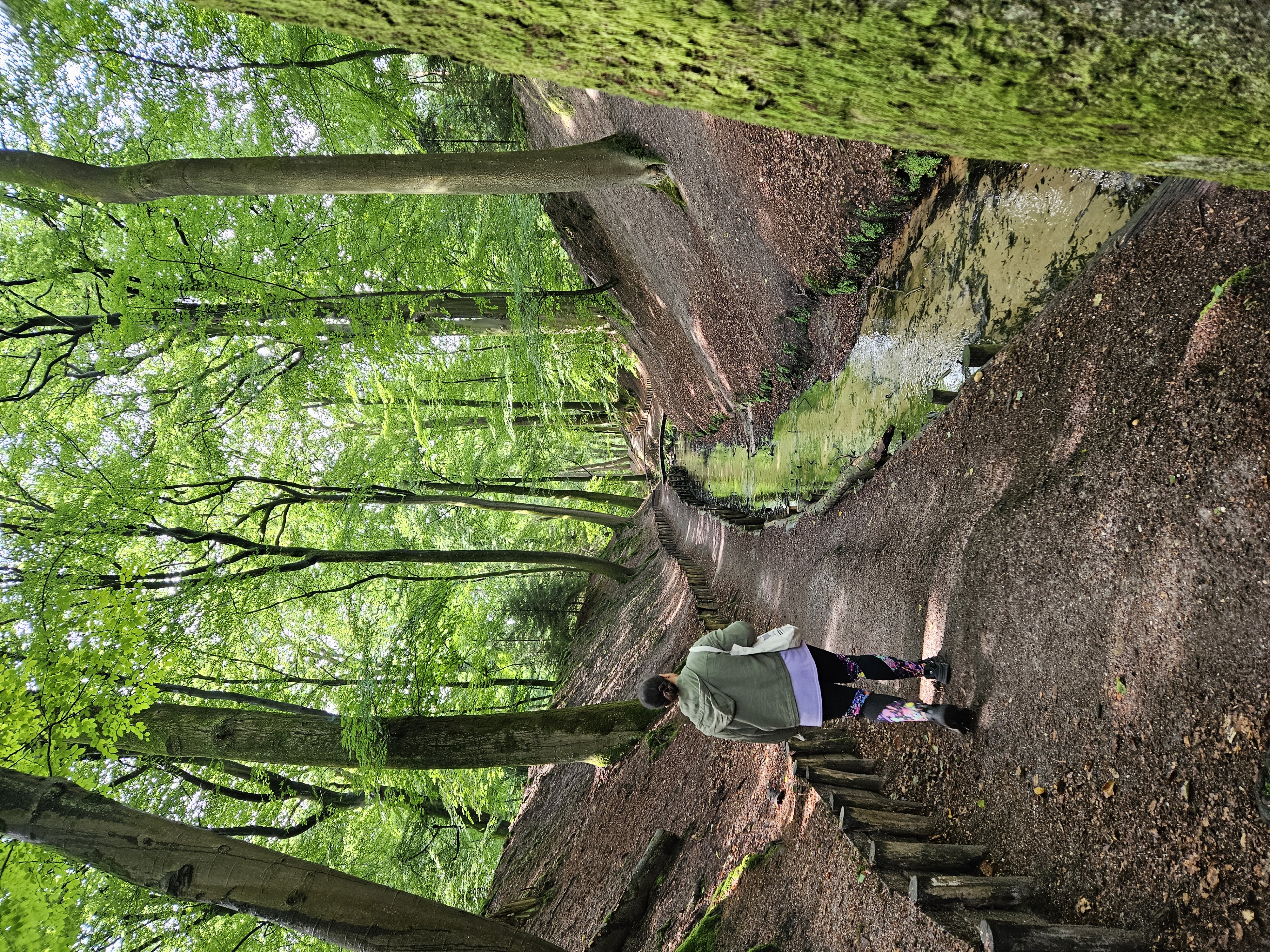 Staying in a nature house in the Veluwe (the Netherlands)