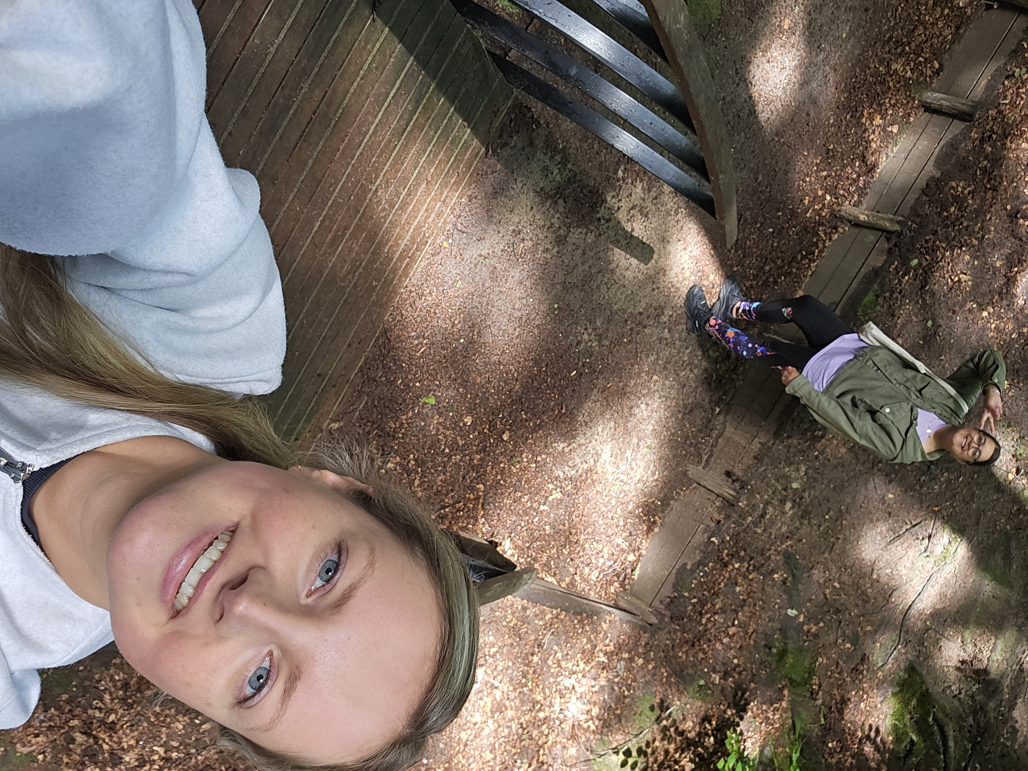 Staying in a nature house in the Veluwe (the Netherlands)