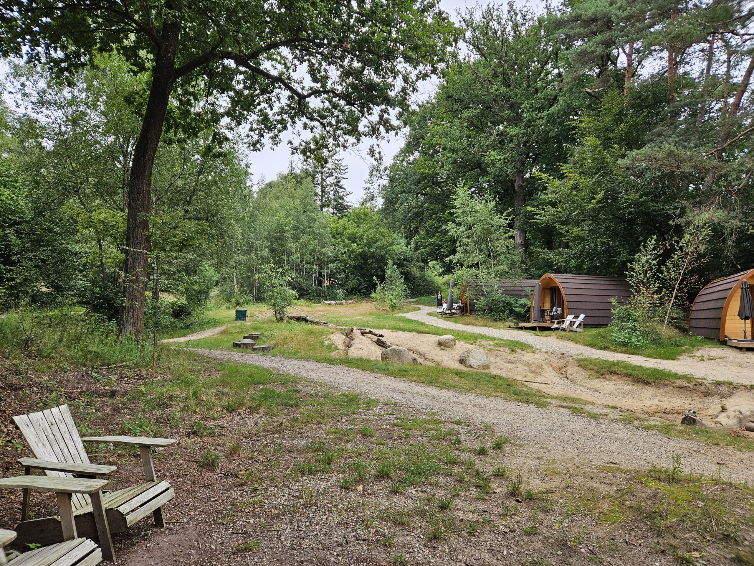 Staying in a nature house in the Veluwe (the Netherlands)