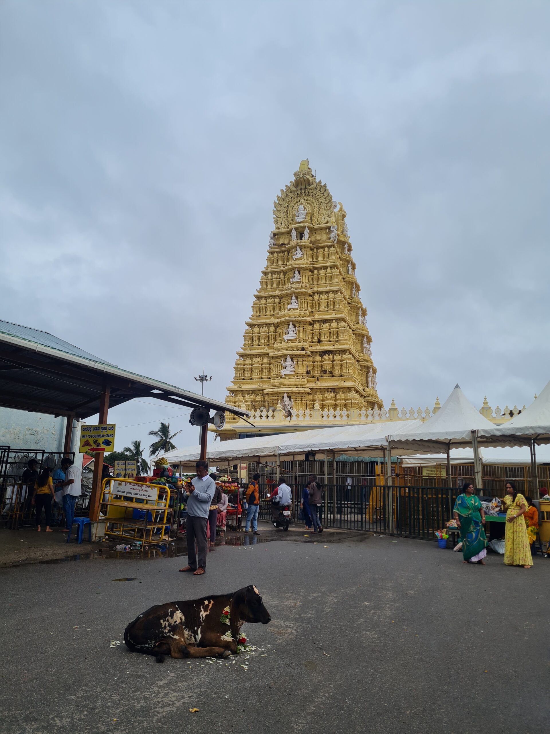 5 reasons why you should visit mysore india