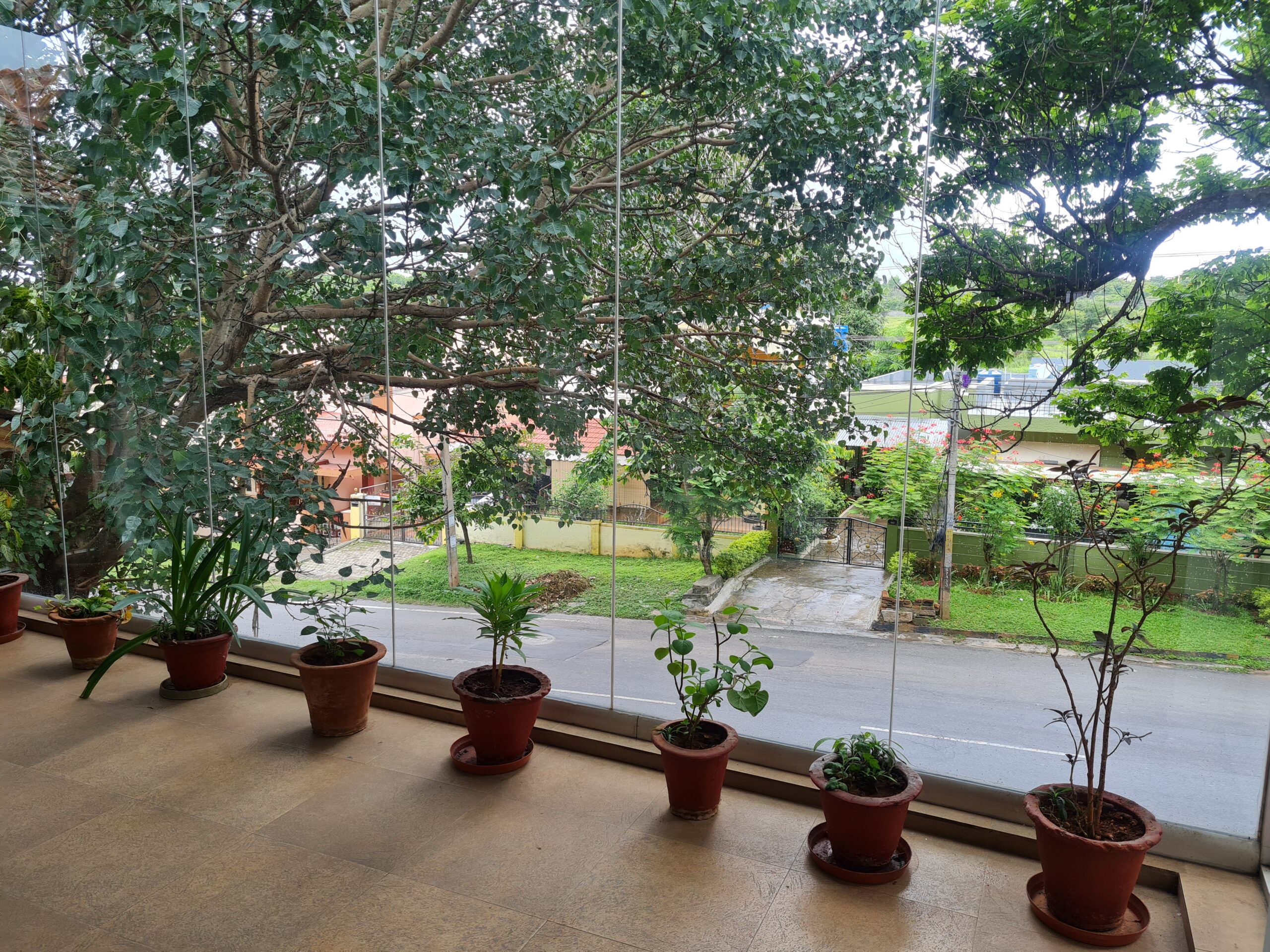 5 reasons why you should visit mysore india