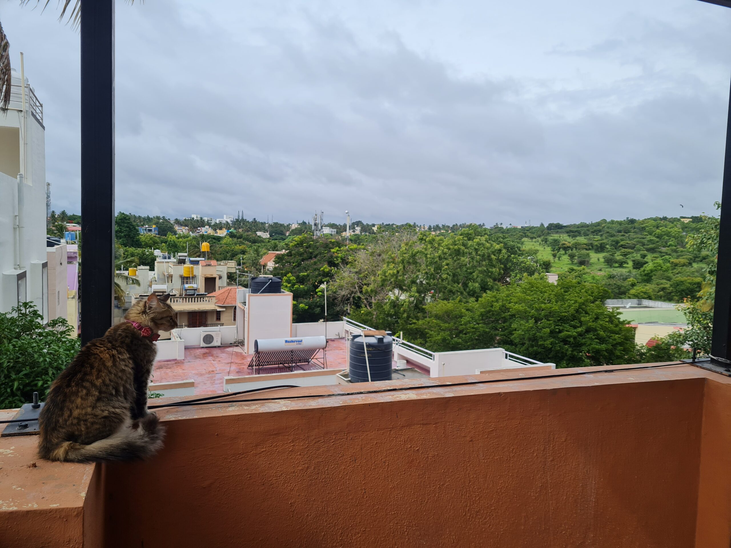 5 reasons why you should visit mysore india