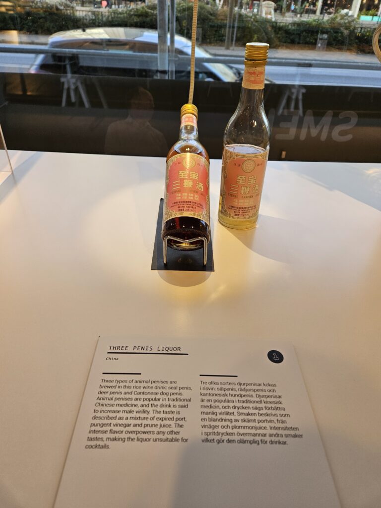 How is the Disgusting Food Museum in Malmö (Sweden)