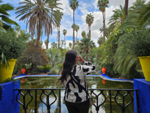 Where to stay in Marrakech Riad La Gazelle Du Sud (Morocco)