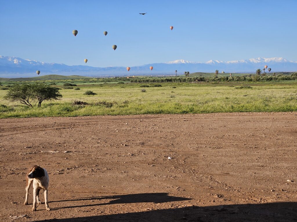 What to expect from a hot air balloon ride near Marrakech (Morocco)